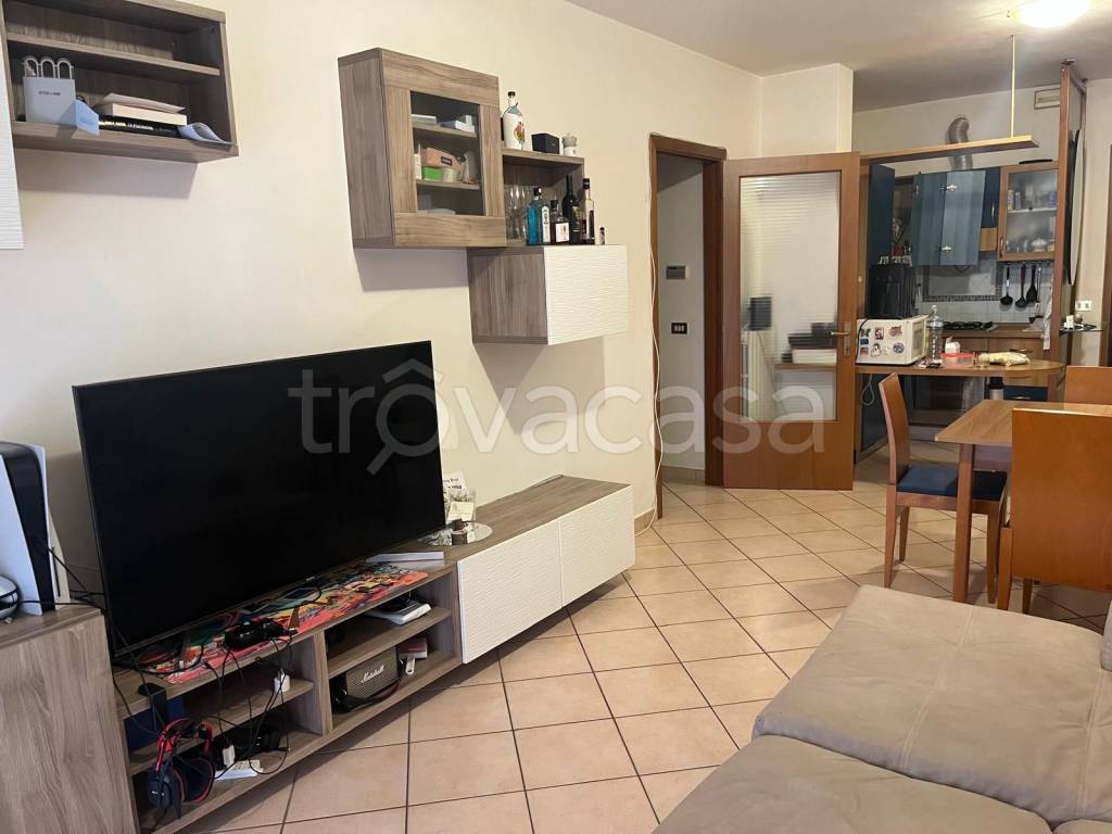 immagine annuncio 1 di 14