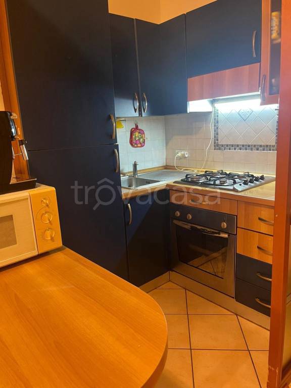 immagine annuncio 10 di 14