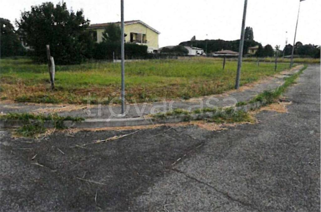 immagine annuncio 4 di 12