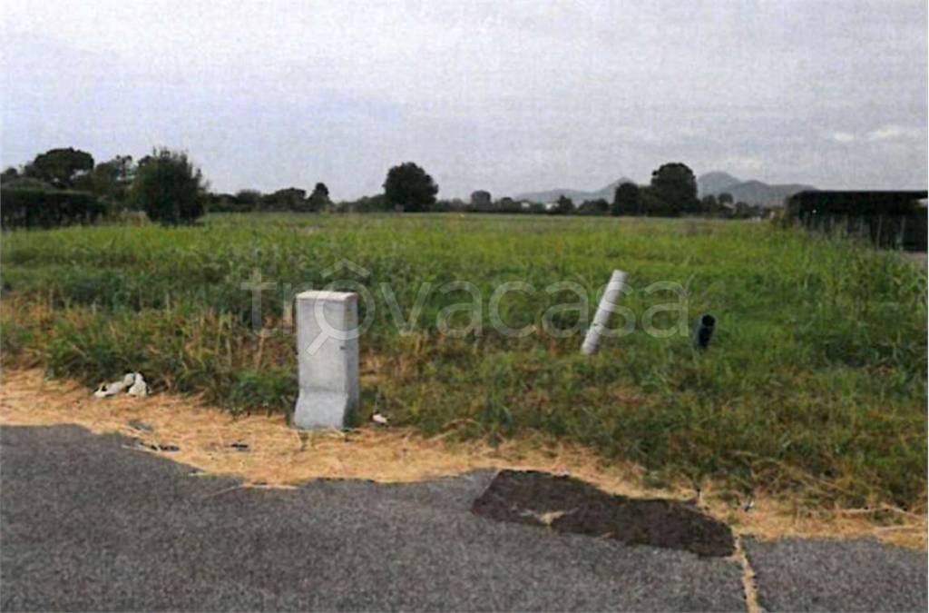 immagine annuncio 9 di 12