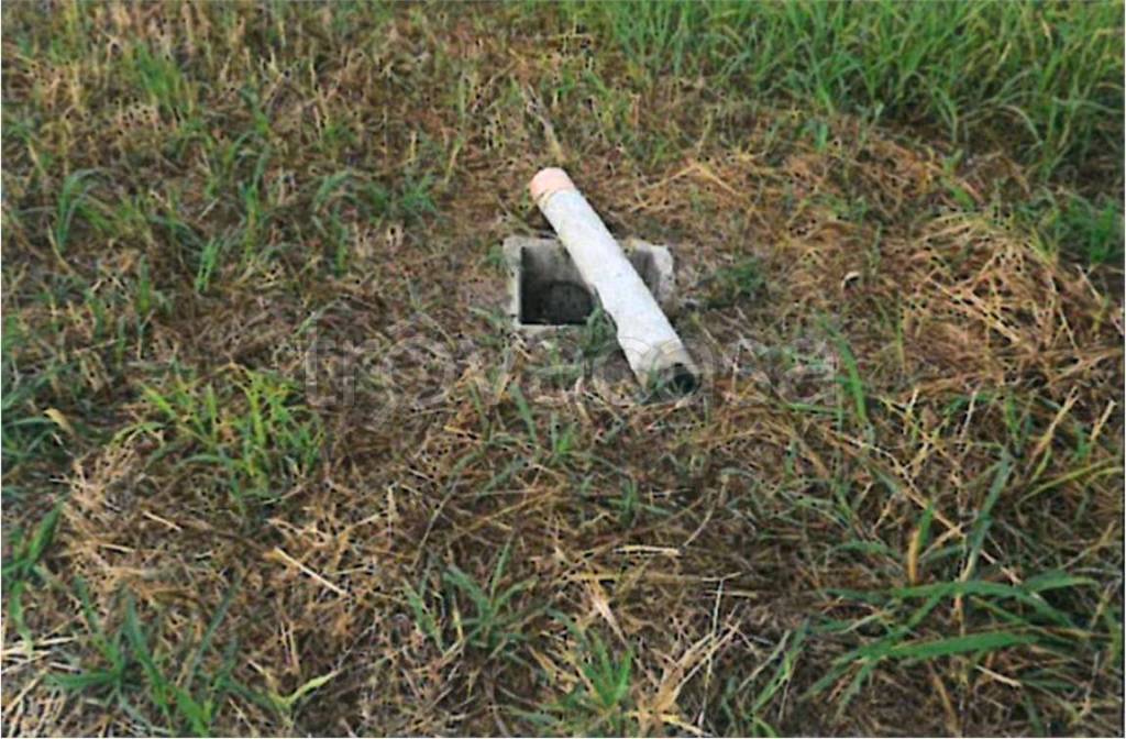 immagine annuncio 11 di 12