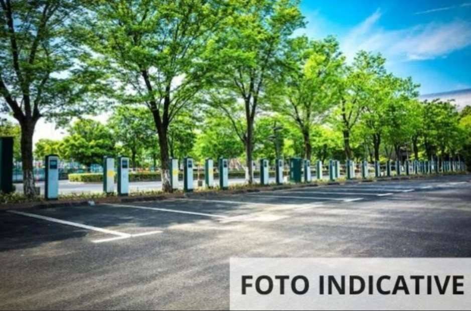 immagine annuncio 5 di 12