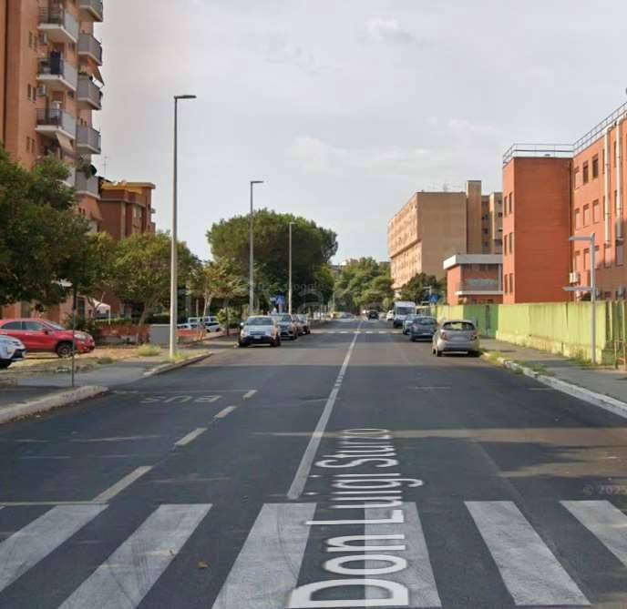 immagine annuncio 10 di 12