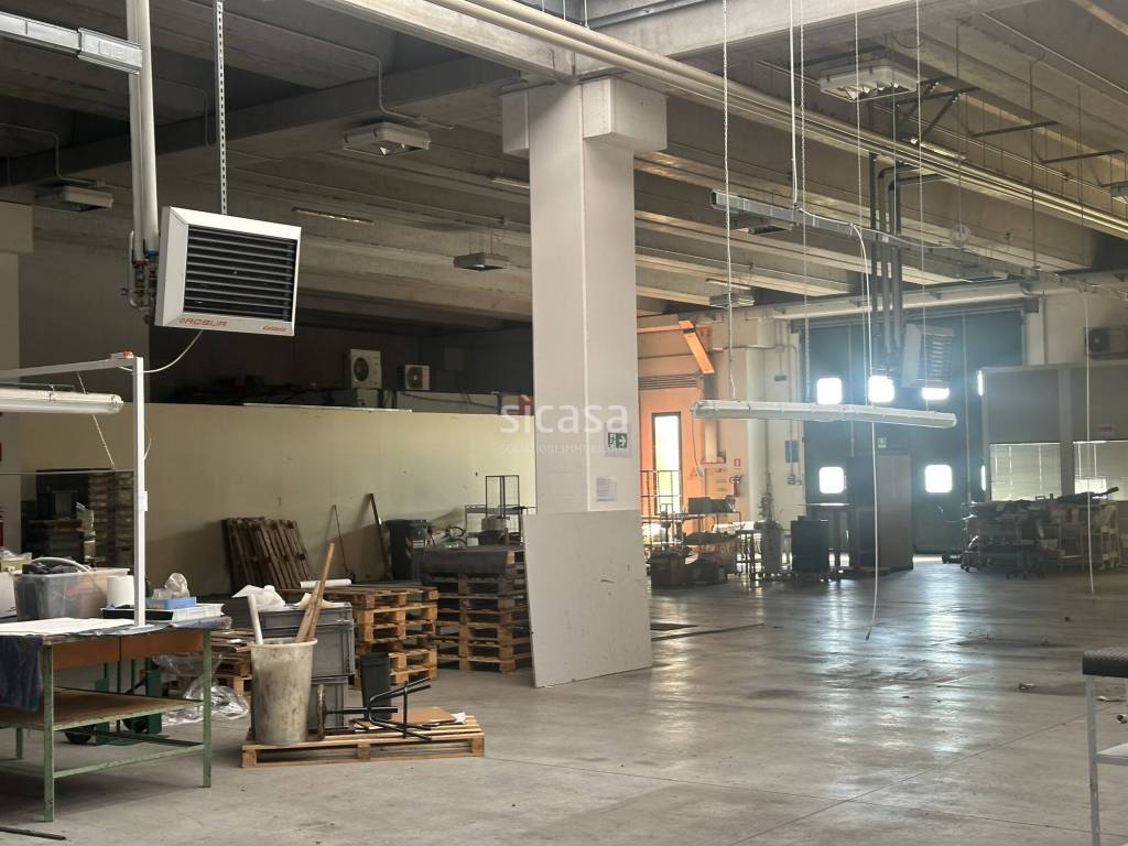 immagine annuncio 3 di 15