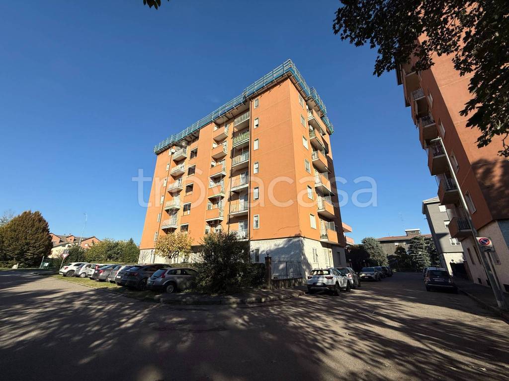 immagine annuncio 11 di 13