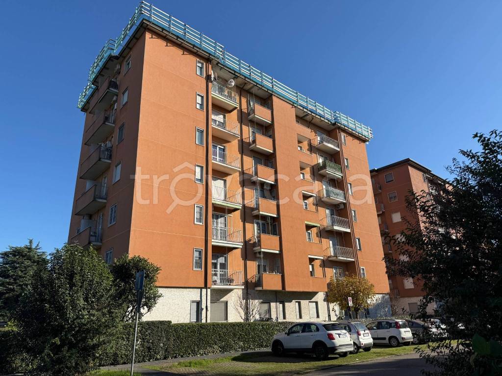 immagine annuncio 12 di 13