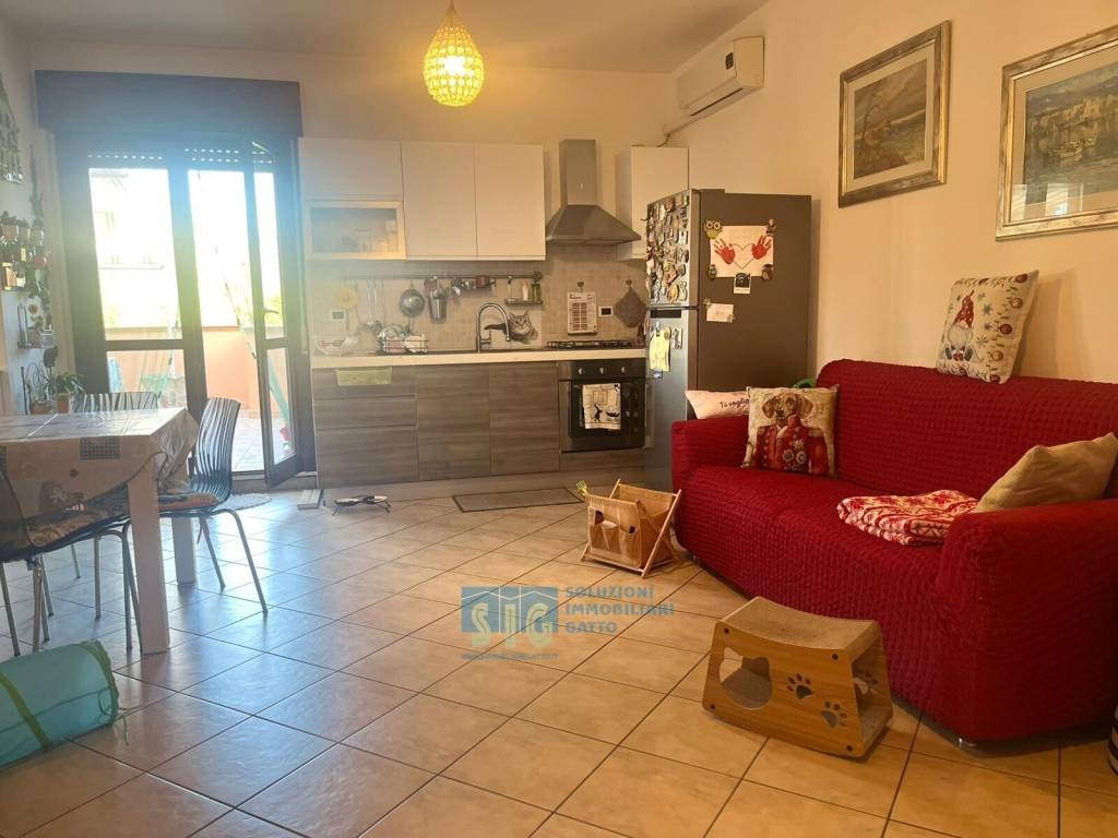 immagine annuncio 6 di 15