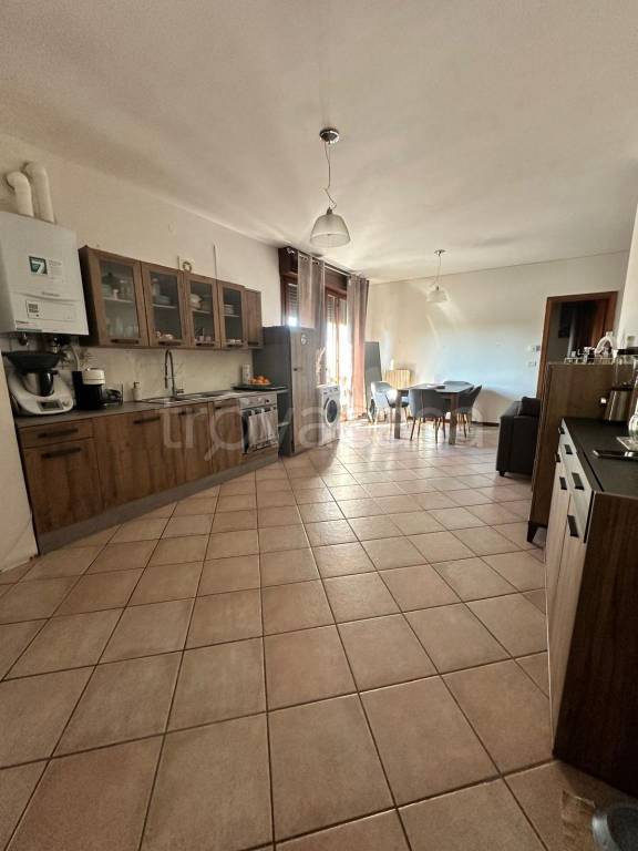 immagine annuncio 2 di 12