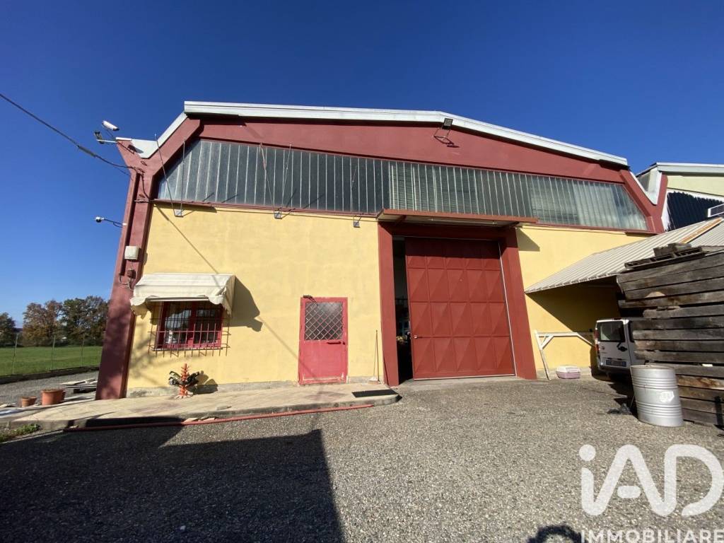 immagine annuncio 2 di 12