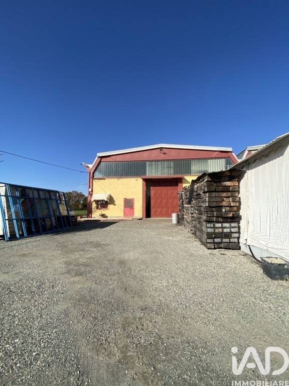 immagine annuncio 3 di 12