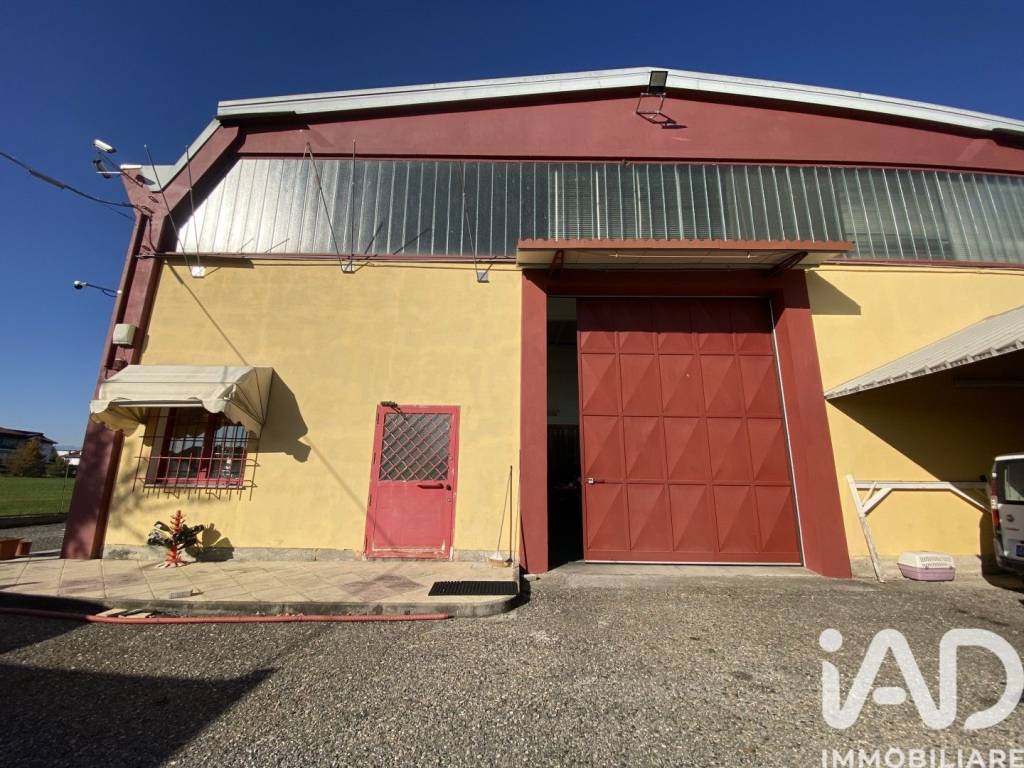 immagine annuncio 1 di 12