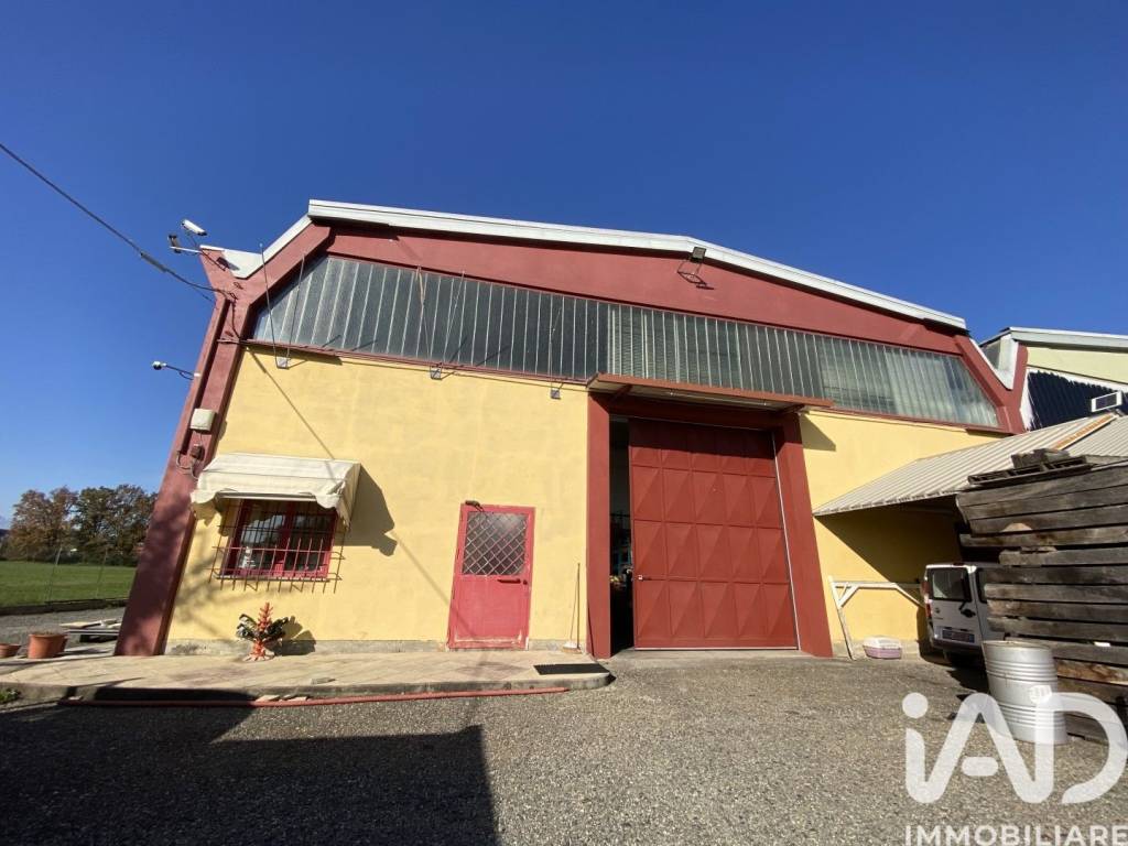 immagine annuncio 4 di 12