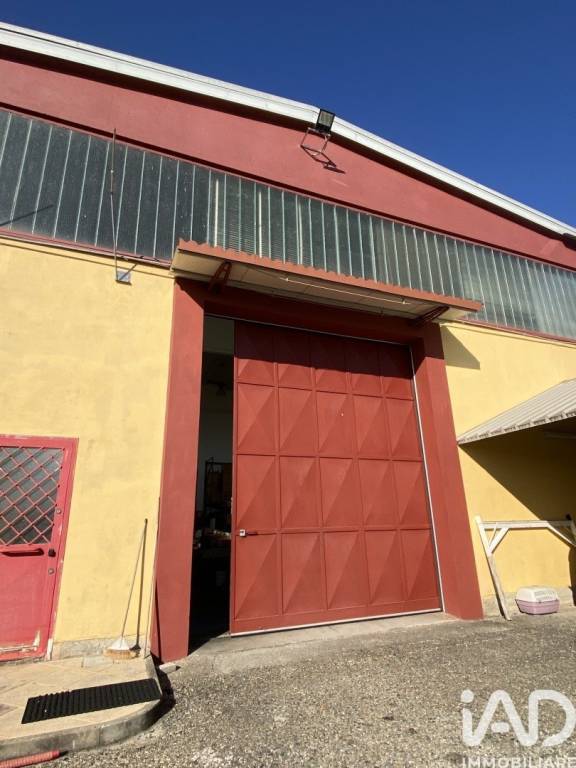 immagine annuncio 5 di 12