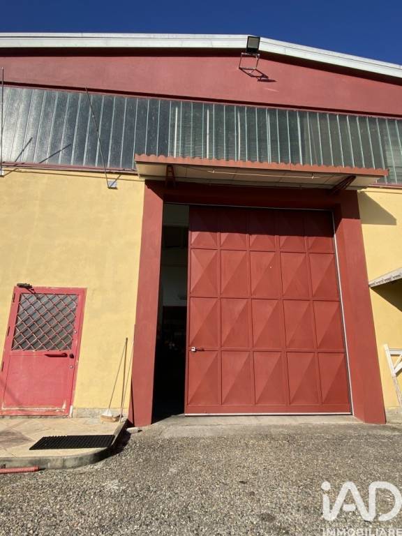 immagine annuncio 6 di 12