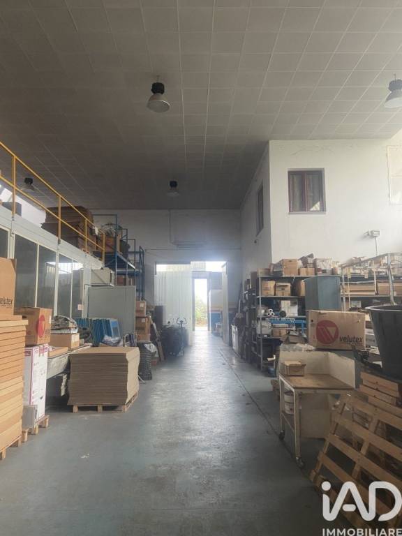 immagine annuncio 7 di 12