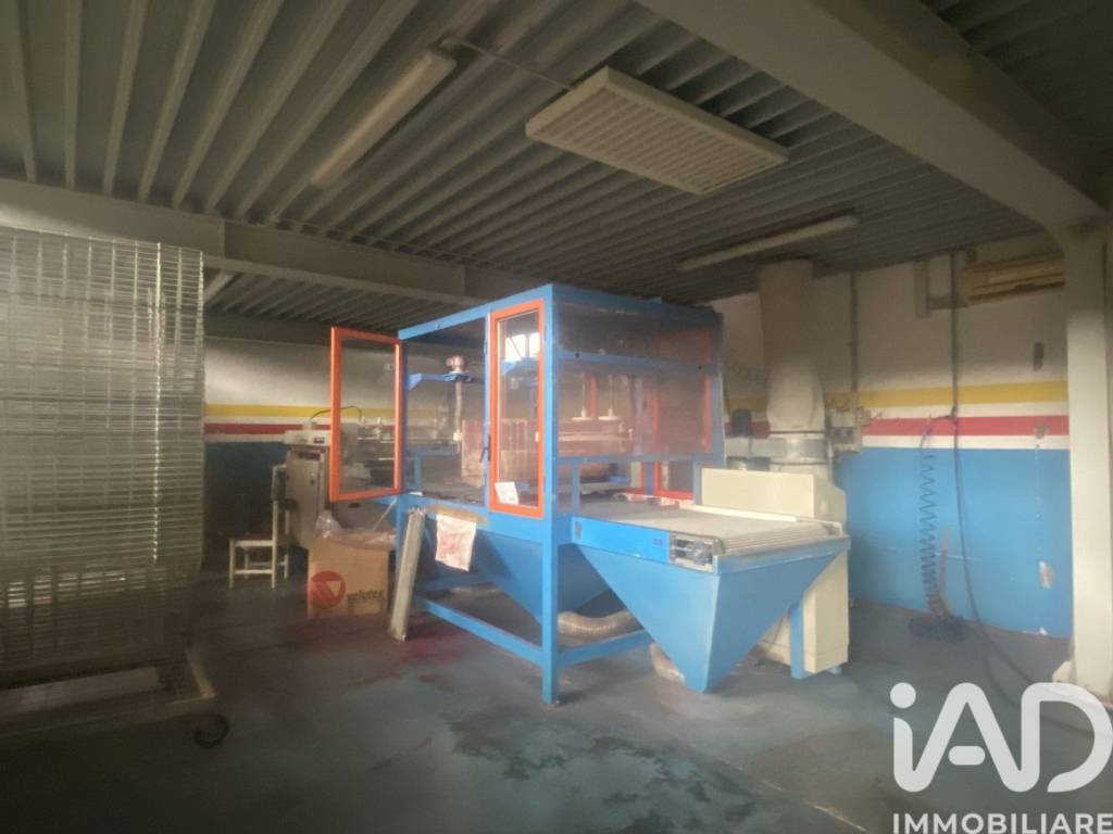 immagine annuncio 8 di 12