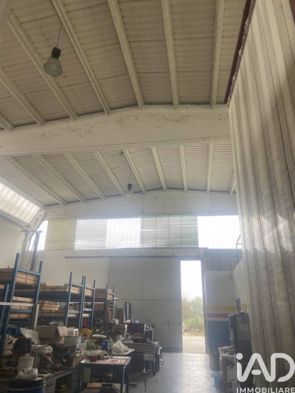 immagine annuncio 9 di 12