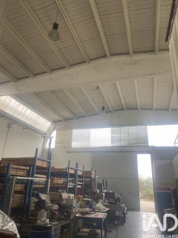 immagine annuncio 10 di 12