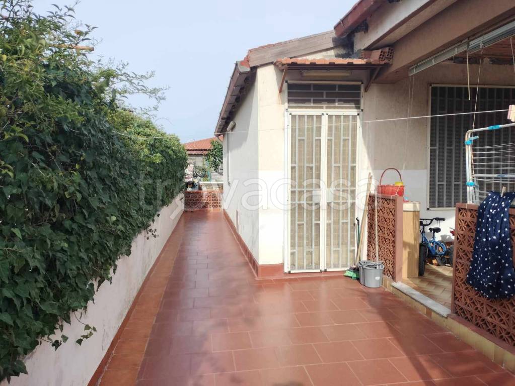 immagine annuncio 11 di 14