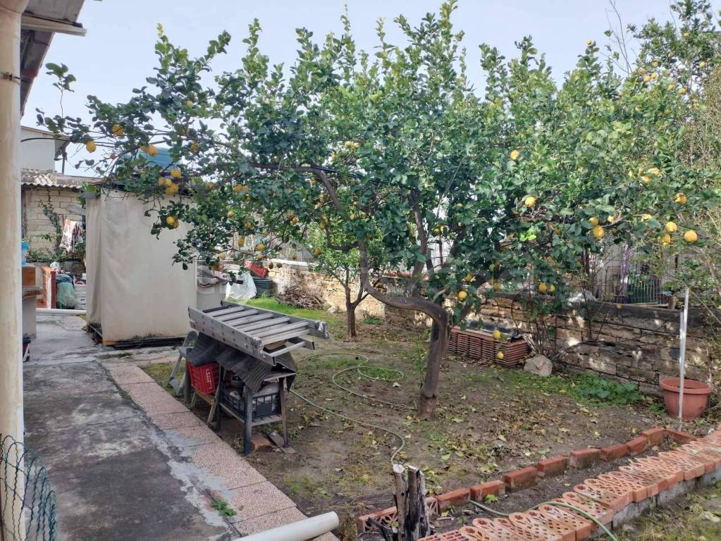 immagine annuncio 13 di 14