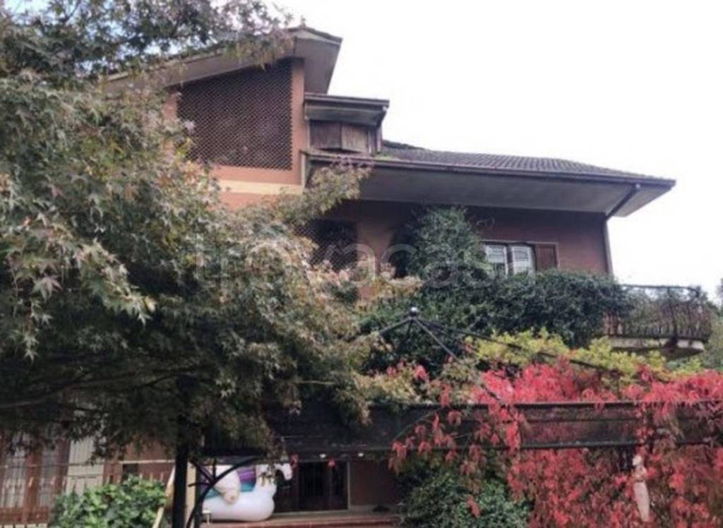 immagine annuncio 5 di 11