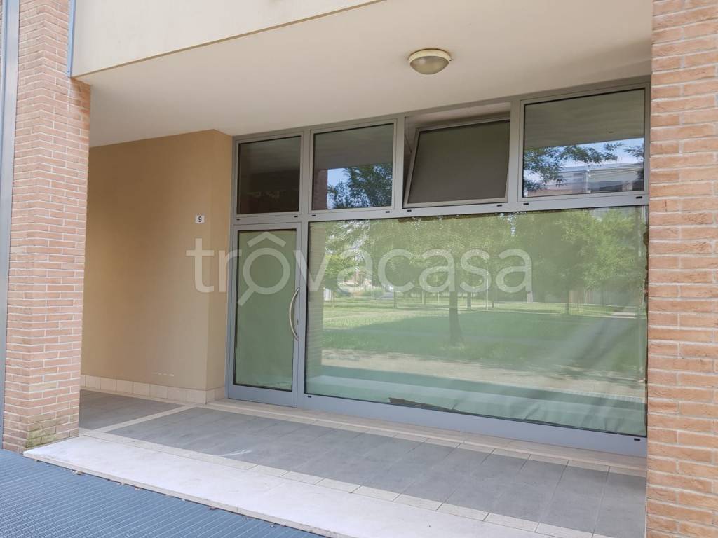 immagine annuncio 2 di 11