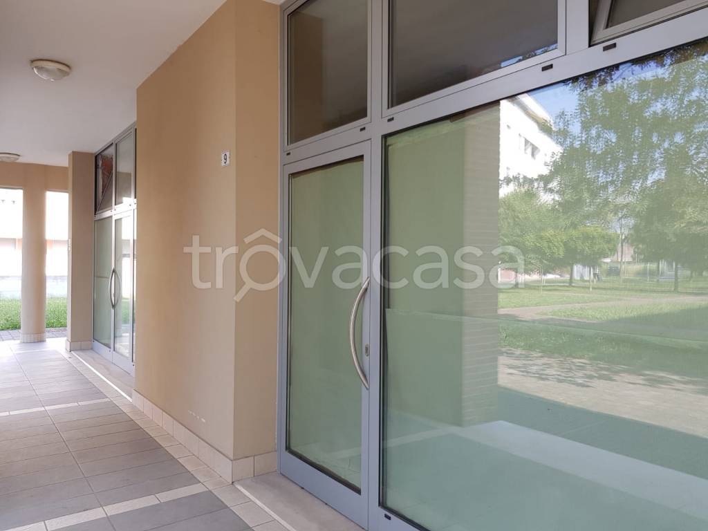 immagine annuncio 4 di 11