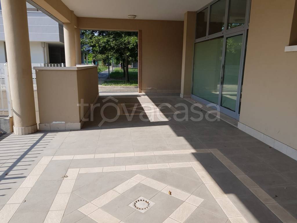 immagine annuncio 5 di 11