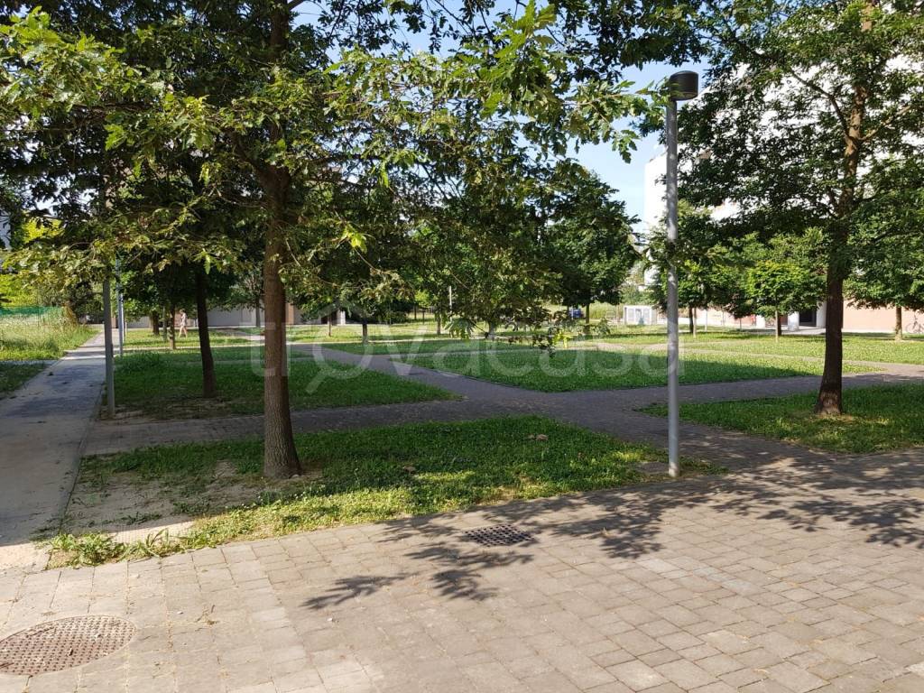 immagine annuncio 6 di 11