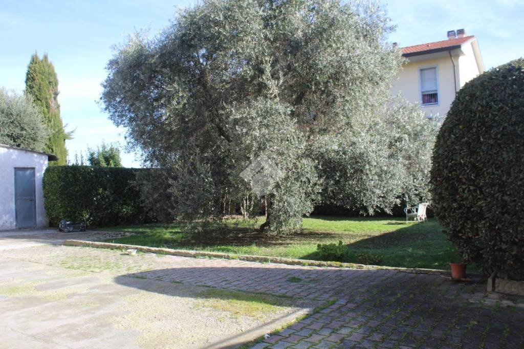 immagine annuncio 10 di 12