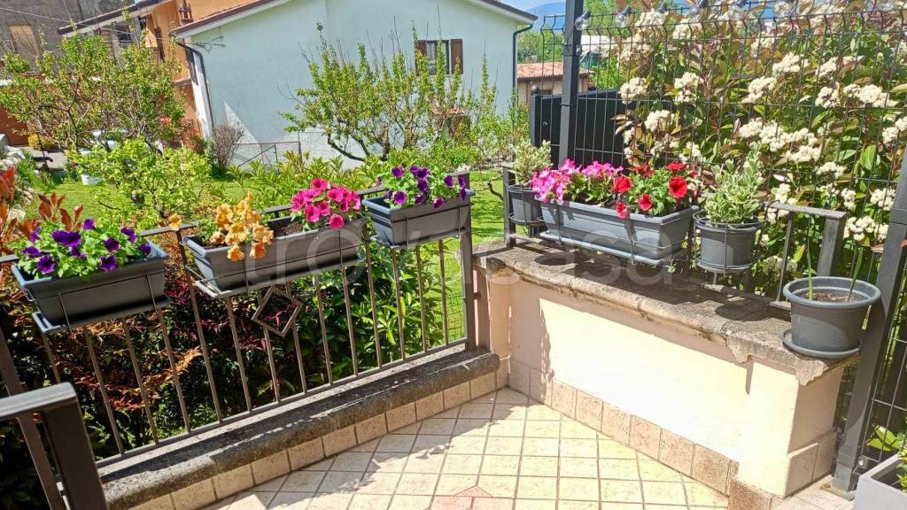 immagine annuncio 2 di 15