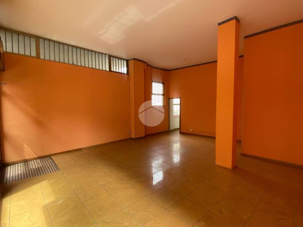 immagine annuncio 1 di 7