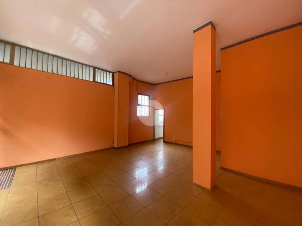 immagine annuncio 5 di 7