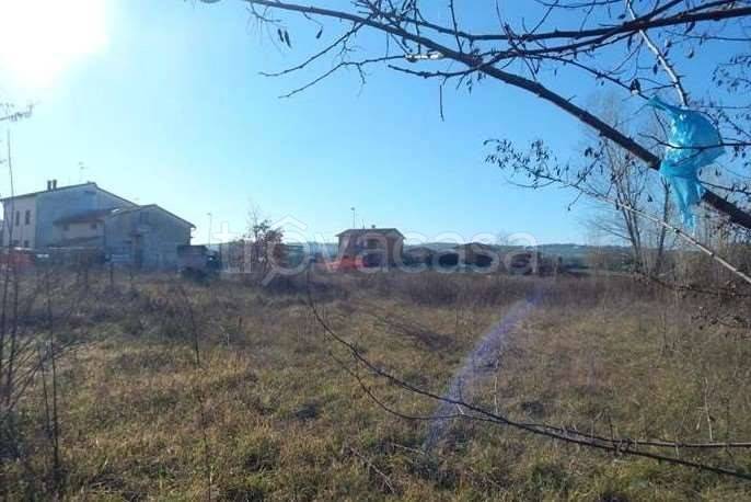 immagine annuncio 6 di 8