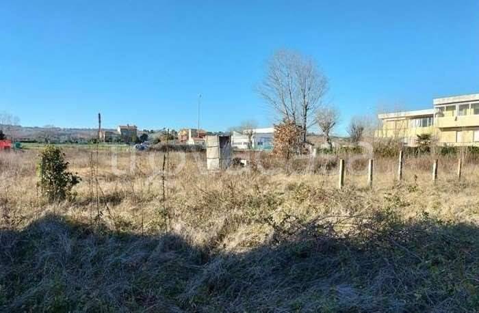 immagine annuncio 7 di 8