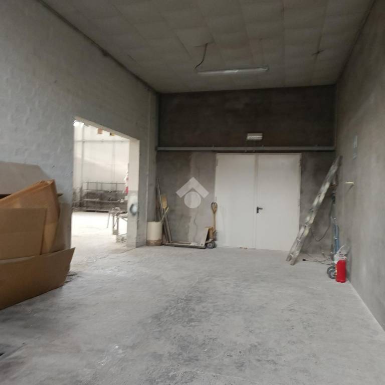 immagine annuncio 1 di 14