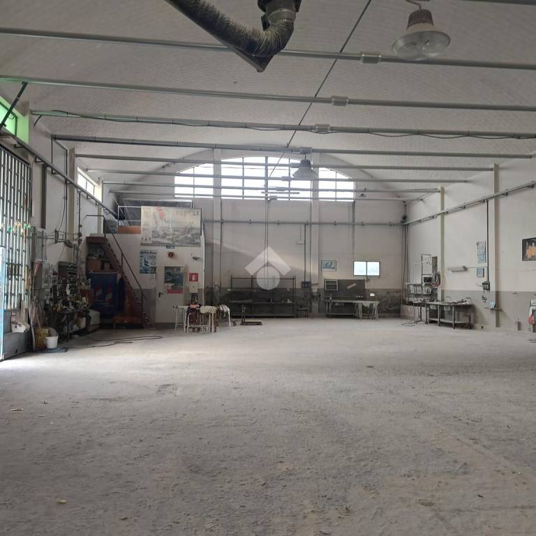 immagine annuncio 4 di 14