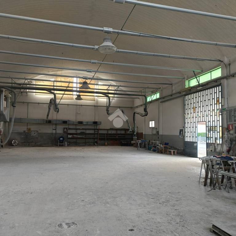 immagine annuncio 5 di 14