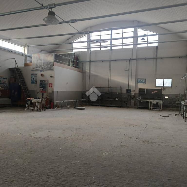 immagine annuncio 6 di 14