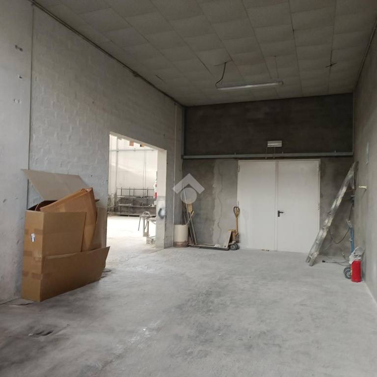 immagine annuncio 9 di 14