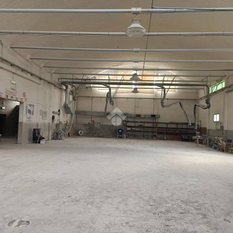 immagine annuncio 11 di 14