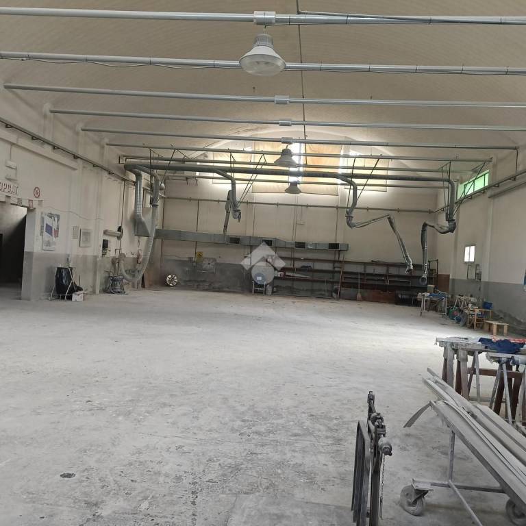 immagine annuncio 12 di 14