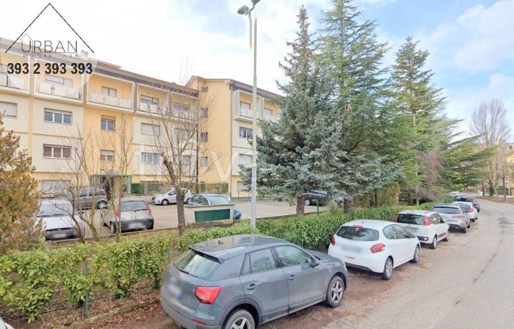 immagine annuncio 1 di 9