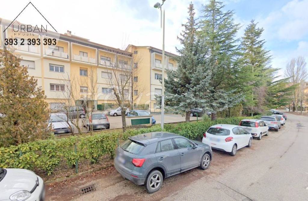 immagine annuncio 2 di 9