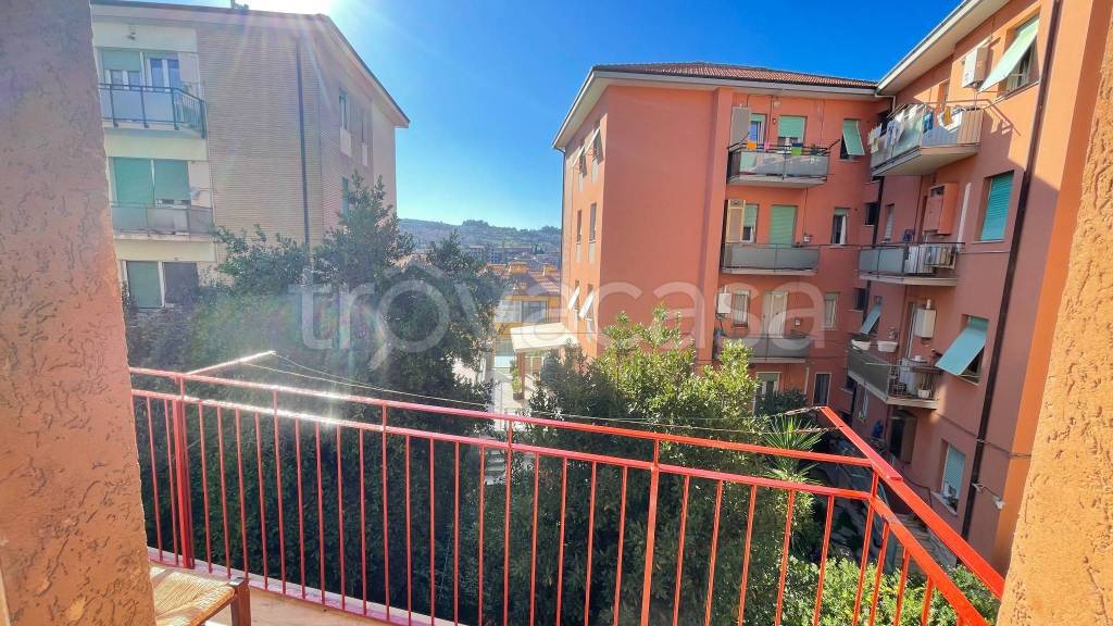 immagine annuncio 3 di 14