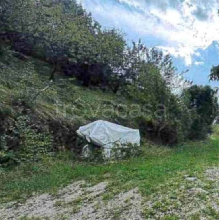 immagine annuncio 11 di 14