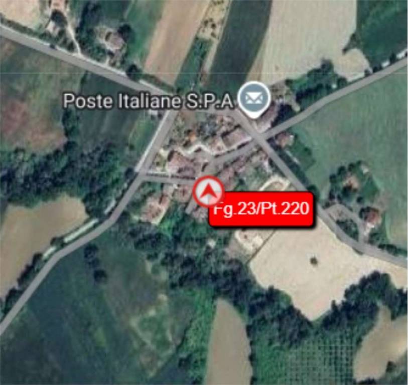 immagine annuncio 5 di 12