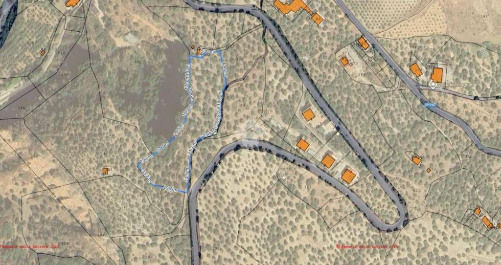 immagine annuncio 2 di 13