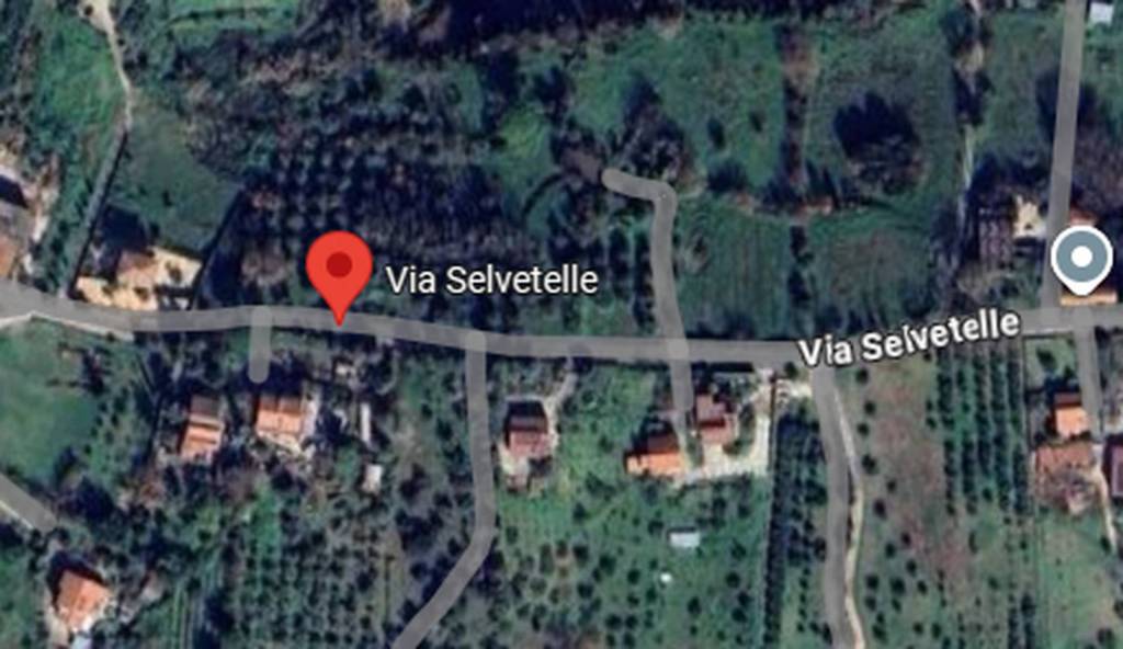 immagine annuncio 7 di 8