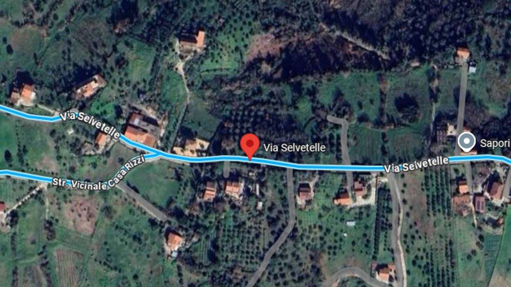 immagine annuncio 4 di 12